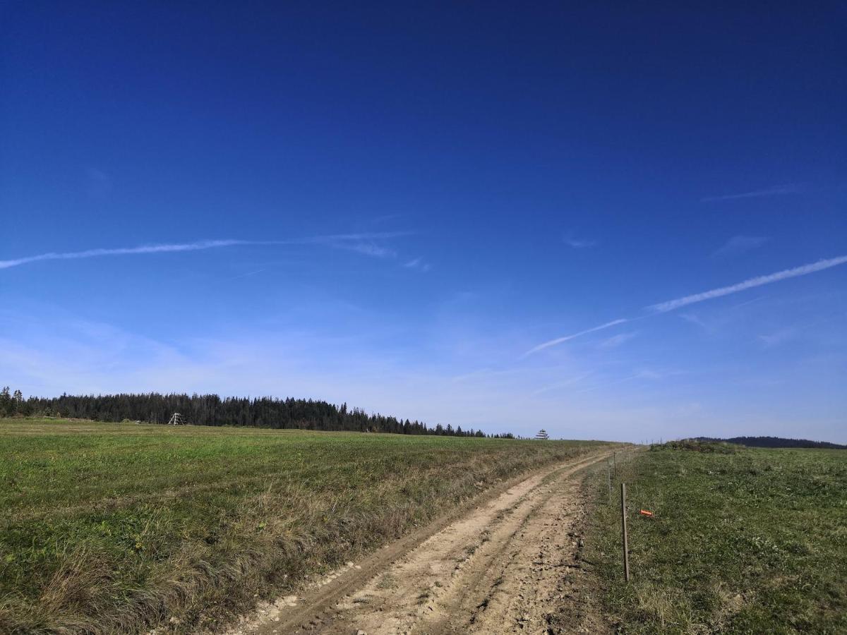 Вілла Na Dziole Ліпниця-Велика Екстер'єр фото
